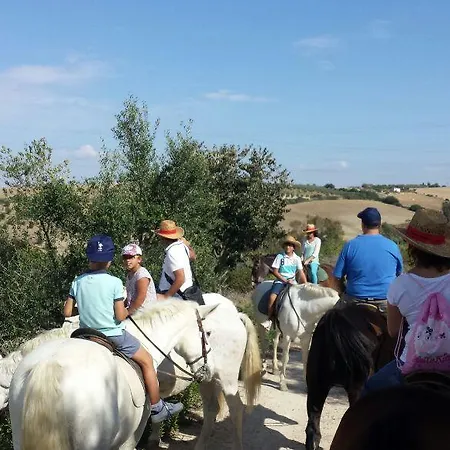 Mesón De La Molinera 3* Arcos de la Frontera
